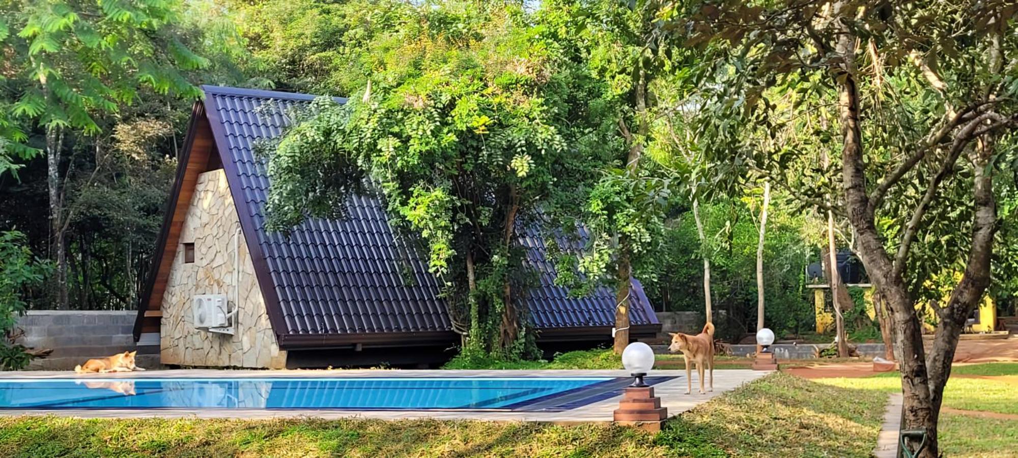Lion King Jungle Cabanas Sigirîya Extérieur photo