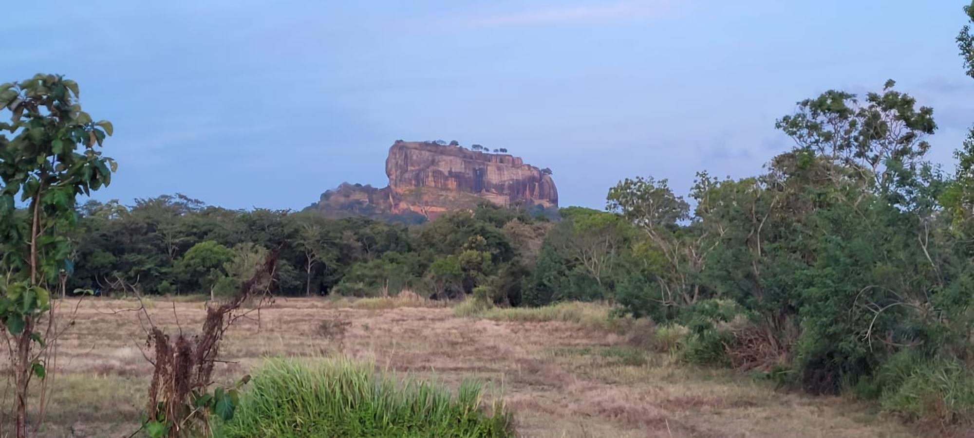 Lion King Jungle Cabanas Sigirîya Extérieur photo