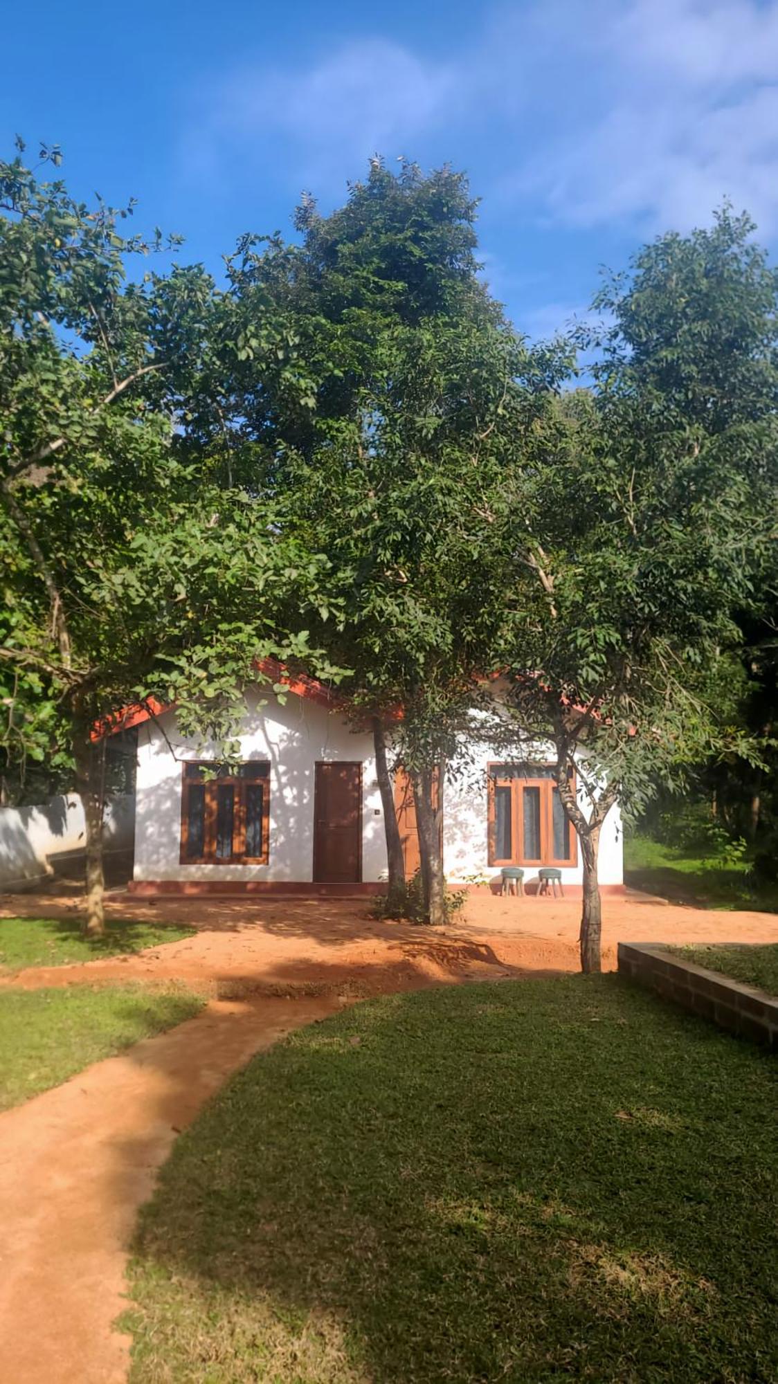 Lion King Jungle Cabanas Sigirîya Extérieur photo